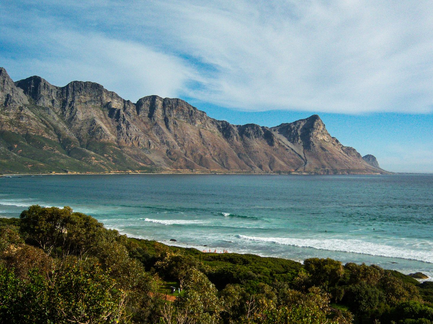 shark attack in south africa